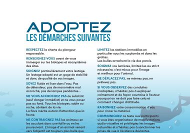 charte images respo,nsable en jpeg