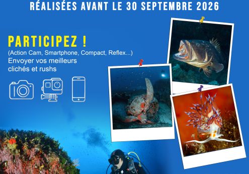 affiche corse