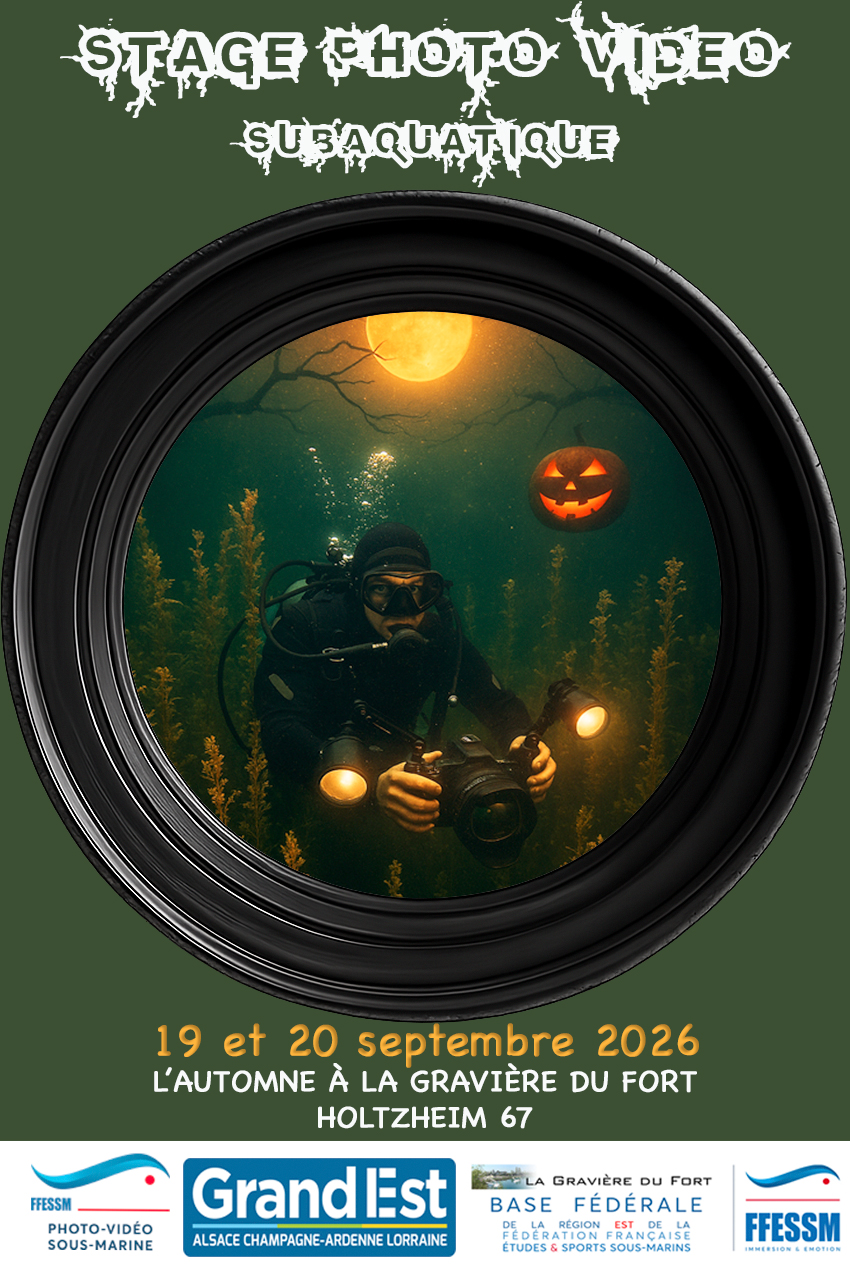 stage gdf 2026